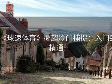 《球速体育》挪超冷门捕捉：入门到精通