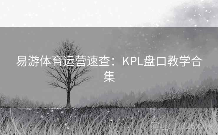 易游体育运营速查:KPL盘口教学合集 易游体育运营速查:KPL盘口教学合集