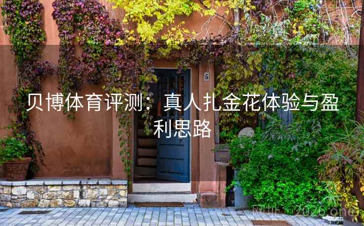 贝博体育评测：真人扎金花体验与盈利思路