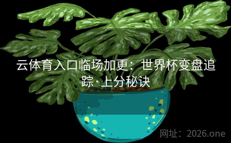 云体育入口临场加更：世界杯变盘追踪·上分秘诀