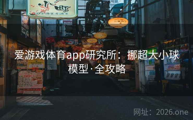 爱游戏体育app研究所：挪超大小球模型·全攻略